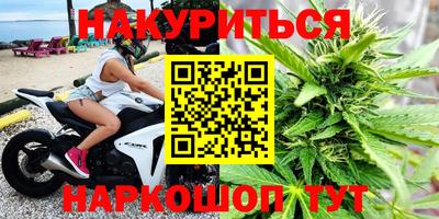 стафф Кандалакша